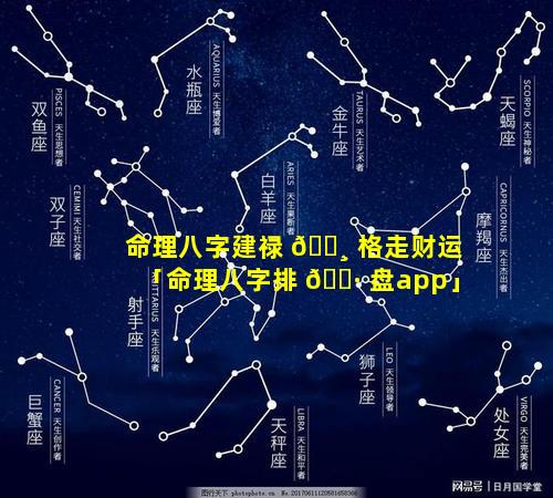 命理八字建禄 🌸 格走财运「命理八字排 🌷 盘app」